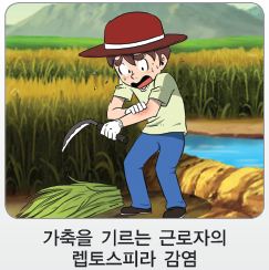4.JPG
