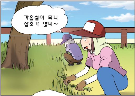 9.JPG