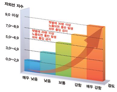 키1-1.JPG